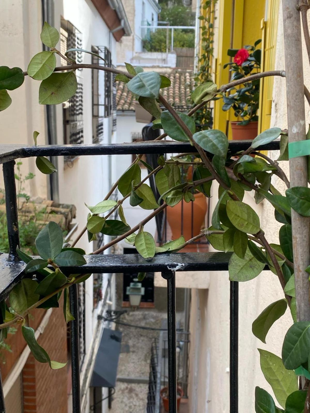 Apartamento Home Stagging New Life กรานาดา ภายนอก รูปภาพ